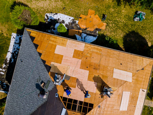 Quick and Trustworthy Emergency Roof Repair Services in Hilo, HI
